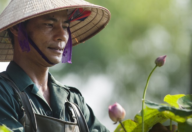 Colourful lotus pond in the suburbs of Hanoi - ảnh 6